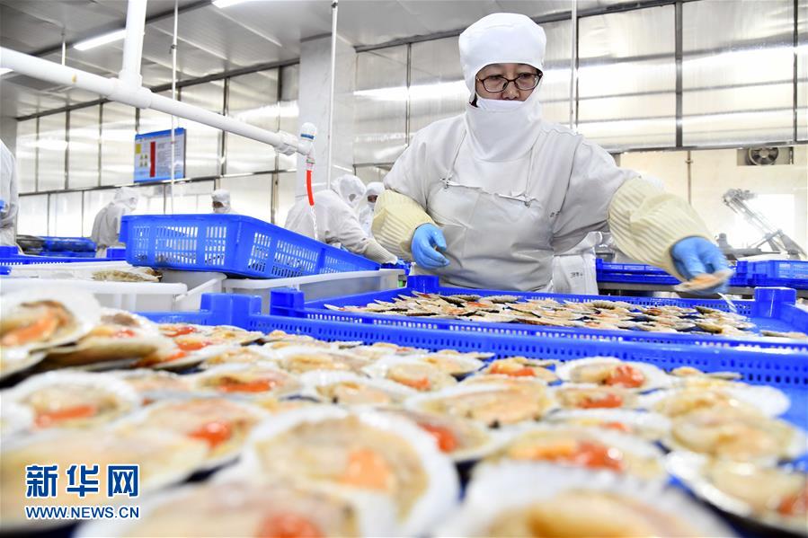 積極發(fā)展海洋食品加工產(chǎn)業(yè)，構(gòu)建全產(chǎn)業(yè)鏈協(xié)同發(fā)展新格局